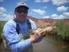 Trout on the Freemont River