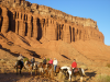 horse-ride_0